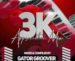 Gator Groover, 3K Appreciation Mix, mp3, download, datafilehost, toxicwap, fakaza, House Music, Amapiano, Amapiano 2022, Amapiano Mix, Amapiano Music