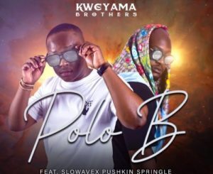 Kweyama Brothers, Polo B, Slowavex Pushkin Springle, mp3, download, datafilehost, toxicwap, fakaza, House Music, Amapiano, Amapiano 2022, Amapiano Mix, Amapiano Music