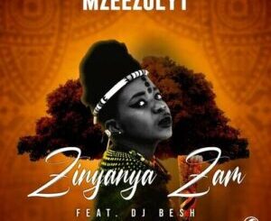 Mzeezolyt, Zinyanya Zam, DJ Besh, mp3, download, datafilehost, toxicwap, fakaza, House Music, Amapiano, Amapiano 2022, Amapiano Mix, Amapiano Music