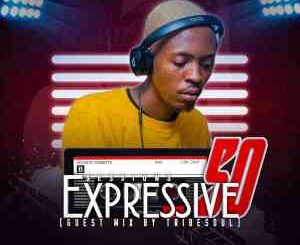 TribeSoul, Expressive Sessions#50, Guest Mix, mp3, download, datafilehost, toxicwap, fakaza, House Music, Amapiano, Amapiano 2022, Amapiano Mix, Amapiano Music