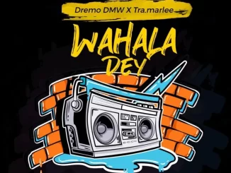 Dremo, Tra.Marlee, Wahala Dey Remix, mp3, download, datafilehost, toxicwap, fakaza, Afro House, Afro House 2022, Afro House Mix, Afro House Music, Afro Tech, House Music