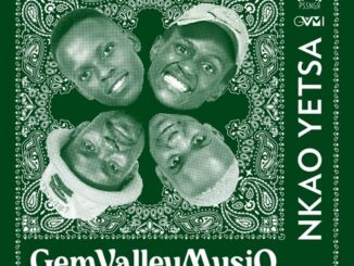 Gem Valley MusiQ, Nkao Yetsa, DJ Fonzi, Sizwe Nineteen & Vinny, KingG, mp3, download, datafilehost, toxicwap, fakaza, House Music, Amapiano, Amapiano 2022, Amapiano Mix, Amapiano Music
