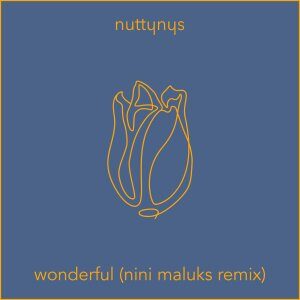 Nutty Nys, Wonderful, ini Maluks Remix, mp3, download, datafilehost, toxicwap, fakaza, Deep House Mix, Deep House, Deep House Music, Deep Tech, Afro Deep Tech, House Music