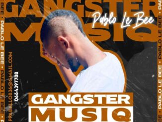 Pablo Lee Bee, Gangster MusiQ, download ,zip, zippyshare, fakaza, EP, datafilehost, album, House Music, Amapiano, Amapiano 2022, Amapiano Mix, Amapiano Music