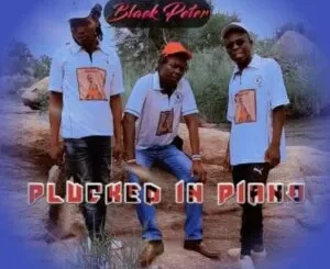 Black Peter, Anglalanga, mp3, download, datafilehost, toxicwap, fakaza, House Music, Amapiano, Amapiano 2022, Amapiano Mix, Amapiano Music