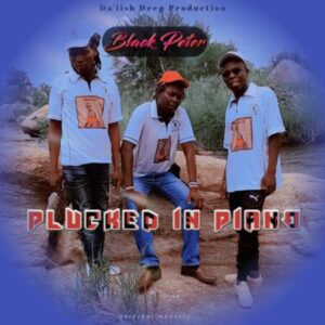 Black Peter, Plucked In Piano, download ,zip, zippyshare, fakaza, EP, datafilehost, album, House Music, Amapiano, Amapiano 2022, Amapiano Mix, Amapiano Music