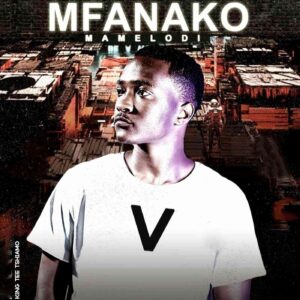 King Tee, Mfanako Mamelodi V, download ,zip, zippyshare, fakaza, EP, datafilehost, album, House Music, Amapiano, Amapiano 2022, Amapiano Mix, Amapiano Music