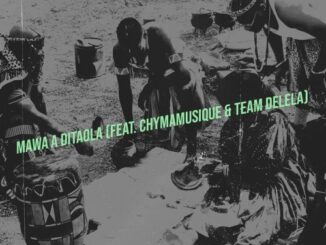Matalane Mokgatla, Mawa A Ditaola, Chymamusique, Team Delela, mp3, download, datafilehost, toxicwap, fakaza, Deep House Mix, Deep House, Deep House Music, Deep Tech, Afro Deep Tech, House Music