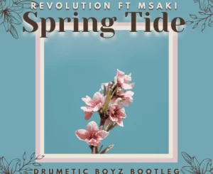 Revolution, Spring Tide, Drumetic Boyz Bootleg, Msaki, mp3, download, datafilehost, toxicwap, fakaza, House Music, Amapiano, Amapiano 2022, Amapiano Mix, Amapiano Music