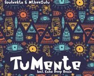 Soulnekta, MtheeZulu, Tu Mente, Echo Deep Remix, mp3, download, datafilehost, toxicwap, fakaza, Deep House Mix, Deep House, Deep House Music, Deep Tech, Afro Deep Tech, House Music
