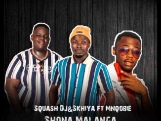 Squash Dj, Skhiya, Shona malanga, Mnqobie, mp3, download, datafilehost, toxicwap, fakaza, House Music, Amapiano, Amapiano 2022, Amapiano Mix, Amapiano Music