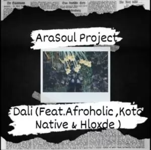 AraSoul Project, Dali, Afroholic, Kota Native,Hloxde, mp3, download, datafilehost, toxicwap, fakaza, House Music, Amapiano, Amapiano 2022, Amapiano Mix, Amapiano Music