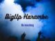 BigUp Harambe, Kae kapa Kae, mp3, download, datafilehost, toxicwap, fakaza, House Music, Amapiano, Amapiano 2022, Amapiano Mix, Amapiano Music