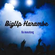 BigUp Harambe, Kae kapa Kae, mp3, download, datafilehost, toxicwap, fakaza, House Music, Amapiano, Amapiano 2022, Amapiano Mix, Amapiano Music