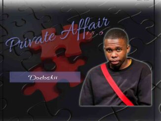 Dodoskii, Private Affair 15.0 Mix. mp3, download, datafilehost, toxicwap, fakaza, House Music, Amapiano, Amapiano 2022, Amapiano Mix, Amapiano Music