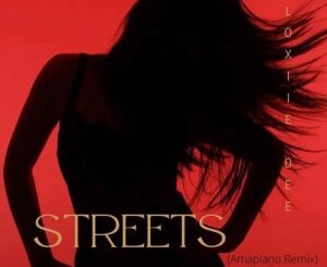Ndamu TM Music, Streets Amapiano Remix, Loxiie Dee, mp3, download, datafilehost, toxicwap, fakaza,House Music, Amapiano, Amapiano 2020, Amapiano Mix, Amapiano Music