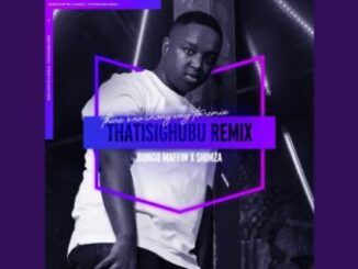 Bongo Maffin, Thath’isigubhu, Shimza Remix, mp3, download, datafilehost, toxicwap, fakaza, Afro House, Afro House 2022, Afro House Mix, Afro House Music, Afro Tech, House Music