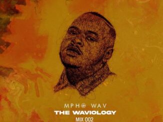 Mpho.Wav, The Waviology Mix 002, mp3, download, datafilehost, toxicwap, fakaza, Afro House, Afro House 2022, Afro House Mix, Afro House Music, Afro Tech, House Music