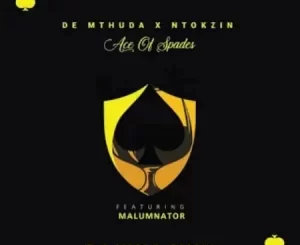 De Mthuda, Ntokzin, Yini Amapiano, mp3, download, datafilehost, toxicwap, fakaza, House Music, Amapiano, Amapiano 2022, Amapiano Mix, Amapiano Music