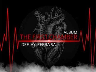Deejay Zebra SA, The First Chamber, download ,zip, zippyshare, fakaza, EP, datafilehost, album, Gqom Beats, Gqom Songs, Gqom Music, Gqom Mix, House Music