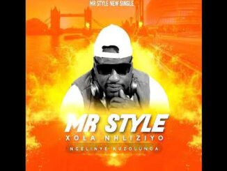 Mr Style, Xola Nhliziyo, mp3, download, datafilehost, toxicwap, fakaza, House Music, Amapiano, Amapiano 2022, Amapiano Mix, Amapiano Music