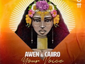 Awen, Caiiro, Your Voice, Adam Port Remix, mp3, download, datafilehost, toxicwap, fakaza, Afro House, Afro House 2022, Afro House Mix, Afro House Music, Afro Tech, House Music