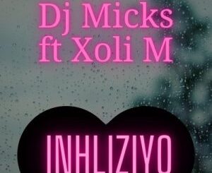 DJ Micks, Inhliziyo, Xoli M, mp3, download, datafilehost, toxicwap, fakaza, Afro House, Afro House 2022, Afro House Mix, Afro House Music, Afro Tech, House Music