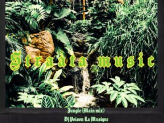 DJ Poison La MusiQue, Thuska Drumbeat, Jungle, mp3, download, datafilehost, toxicwap, fakaza, House Music, Amapiano, Amapiano 2022, Amapiano Mix, Amapiano Music