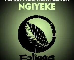 Funkky, Ngiyeke, Nomvula SA, download ,zip, zippyshare, fakaza, EP, datafilehost, album, Afro House, Afro House 2022, Afro House Mix, Afro House Music, Afro Tech, House Music