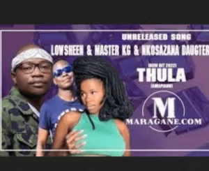 Lowsheen, Thula, Master KG, Nkosazana Daughter, mp3, download, datafilehost, toxicwap, fakaza, House Music, Amapiano, Amapiano 2022, Amapiano Mix, Amapiano Music