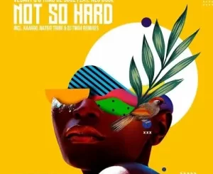 Vesant Q, Thab De Soul, Not So Hard, Neo Dube, mp3, download, datafilehost, toxicwap, fakaza, Afro House, Afro House 2022, Afro House Mix, Afro House Music, Afro Tech, House Music