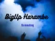 BigUp Harambe, Danger, mp3, download, datafilehost, toxicwap, fakaza, House Music, Amapiano, Amapiano 2022, Amapiano Mix, Amapiano Music