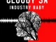 Cloudy SA, Industry Baby, download ,zip, zippyshare, fakaza, EP, datafilehost, album, House Music, Amapiano, Amapiano 2022, Amapiano Mix, Amapiano Music