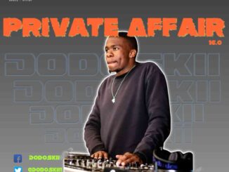 Dodoskii, Private Affair 16.0 Mix, mp3, download, datafilehost, toxicwap, fakaza, House Music, Amapiano, Amapiano 2022, Amapiano Mix, Amapiano Music