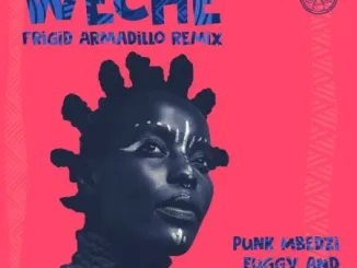 Punk Mbedzi, Euggy, Akoth Jumadi, Weche, Frigid Armadillo Remix, mp3, download, datafilehost, toxicwap, fakaza, Afro House, Afro House 2022, Afro House Mix, Afro House Music, Afro Tech, House Music