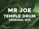 Mr Joe, Temple Drum, Original Mix, mp3, download, datafilehost, toxicwap, fakaza, Afro House, Afro House 2022, Afro House Mix, Afro House Music, Afro Tech, House Music