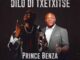 Prince Benza, Dilo Di Txentxitse, Dr Malinga, mp3, download, datafilehost, toxicwap, fakaza,House Music, Amapiano, Amapiano 2022, Amapiano Mix, Amapiano Music