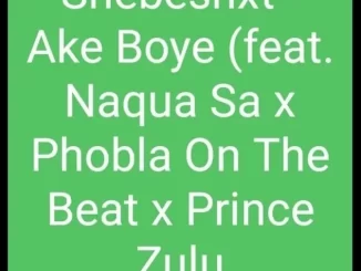 Shebeshxt, Ake Boye, Naqua SA, Phobla On The Beat, Prince Zulu, mp3, download, datafilehost, toxicwap, fakaza,House Music, Amapiano, Amapiano 2022, Amapiano Mix, Amapiano Music