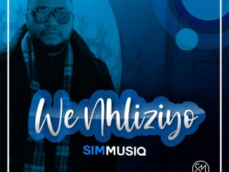 Simmusiq, We Nhliziyo, mp3, download, datafilehost, toxicwap, fakaza, House Music, Amapiano, Amapiano 2022, Amapiano Mix, Amapiano Music