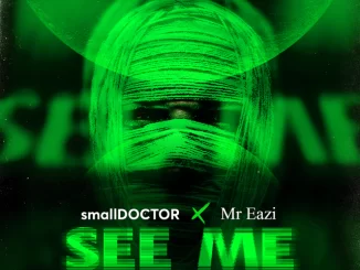 Small Doctor, See Me, Mr Eazi, mp3, download, datafilehost, toxicwap, fakaza, Afro House, Afro House 2022, Afro House Mix, Afro House Music, Afro Tech, House Music