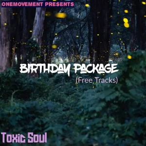 Toxic Soul, Birthday Package, download, zip, zippyshare, fakaza, EP, datafilehost, album, House Music, Amapinao, Amapiano 2022, Amapiano Mix, Amapiano Music