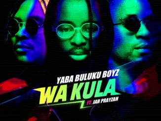 Yaba Buluku Boyz, DJ Tarico, Wa Kula, Zacaria, Jah Prayzah, mp3, download, datafilehost, toxicwap, fakaza,House Music, Amapiano, Amapiano 2022, Amapiano Mix, Amapiano Music