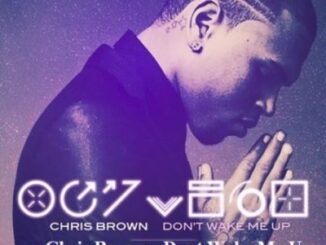 Chris Brown, Dont Wake Me Up, DJTroshkaSA Remix, mp3, download, datafilehost, toxicwap, fakaza,House Music, Amapiano, Amapiano 2022, Amapiano Mix, Amapiano Music