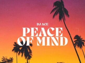 DJ Ace, Peace of Mind Vol 47, Soulful House Slow Jam Mix, mp3, download, datafilehost, toxicwap, fakaza, Soulful House Mix, Soulful House, Soulful House Music, House Music