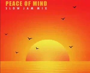 DJ Ace, Peace of Mind Vol 48, Slow Jam Mix, mp3, download, datafilehost, toxicwap, fakaza,House Music, Amapiano, Amapiano 2022, Amapiano Mix, Amapiano Music