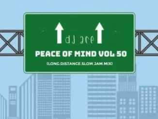 DJ Ace, Peace of Mind Vol 50, Long Distance Slow Jam Mix, mp3, download, datafilehost, toxicwap, fakaza,House Music, Amapiano, Amapiano 2022, Amapiano Mix, Amapiano Music
