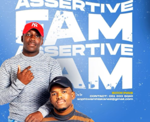 Assertive Fam, Ayeye, mp3, download, datafilehost, toxicwap, fakaza, Gqom Beats, Gqom Songs, Gqom Music, Gqom Mix, House Music