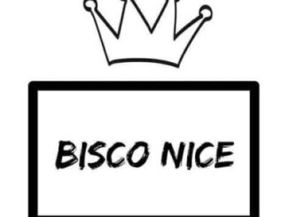 Bisco Nice, Hate Or No Hate, mp3, download, datafilehost, toxicwap, fakaza,House Music, Amapiano, Amapiano 2023, Amapiano Mix, Amapiano Music