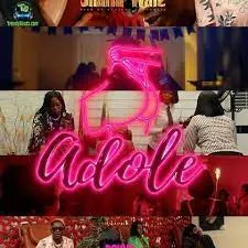Shatta Wale, Adole, mp3, download, datafilehost, toxicwap, fakaza, Afro House, Afro House 2023, Afro House Mix, Afro House Music, Afro Tech, House Music