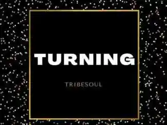 TribeSoul, Turning, mp3, download, datafilehost, toxicwap, fakaza,House Music, Amapiano, Amapiano 2023, Amapiano Mix, Amapiano Music